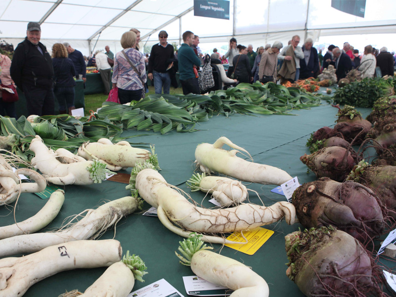 three-counties-autumn-show-2021