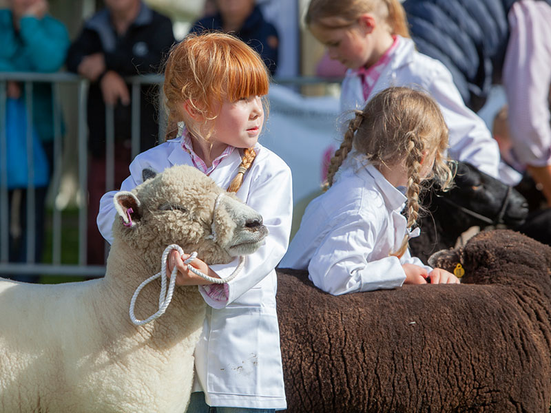 three-counties-show-2022