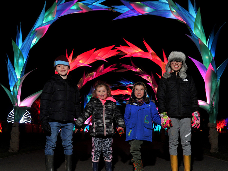 winter-glow-christmas-odyssey-2