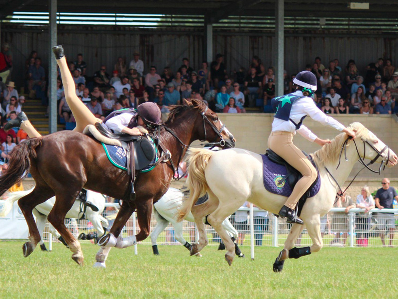 royal-three-counties-show-equine-programme-2023