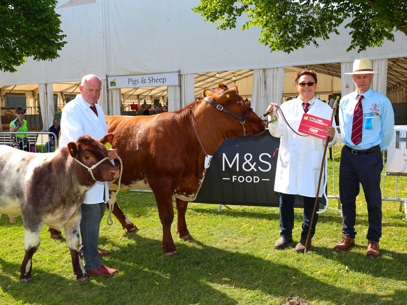 royal-three-counties-show-livestock-2023