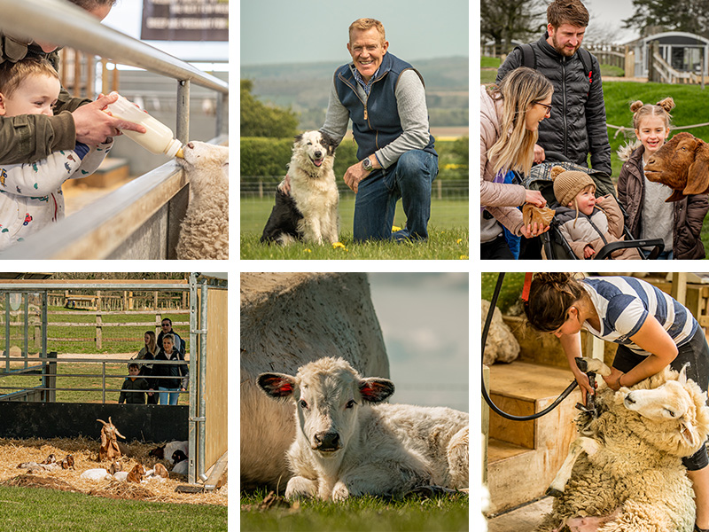 cotswold-farm-park-spring-activities-2023
