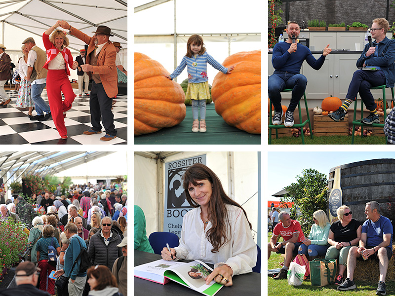 malvern-autumn-show-2023-montage