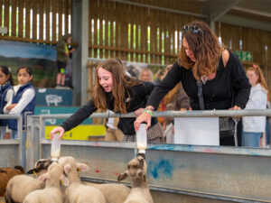 Kids go free at Cotswold Farm Park this May!